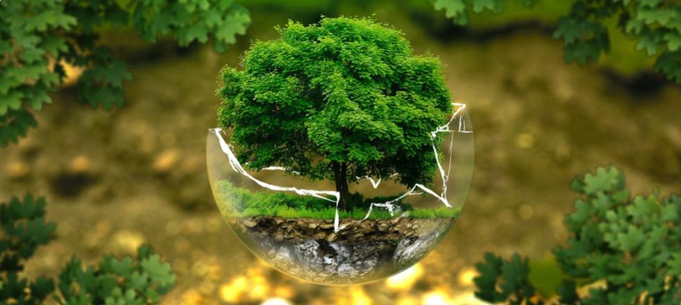 Felelősséggel a környezetünkért!